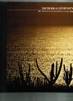 Licuadoras luminosas