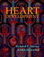 Heart development
