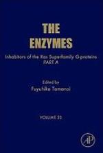 Inhibitors of the Ras superfamily G-proteins