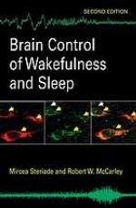 Brainstem control of wakefulness and sleep