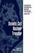 Somatic cell nuclear transfer