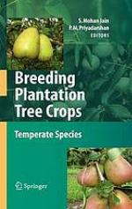 Breeding plantation tree crops temperate species