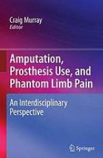 Amputation, prosthesis use, and phantom limb pain : an interdisciplinary perspective