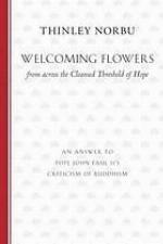 Welcoming flowers from across the cleansed threshold of hope : an answer to Pope John Paul II's criticism of Buddhism