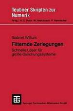 Filternde Zerlegungen Schnelle Löser für große Gleichungssysteme