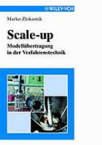 Scale-up : Modellübertragung in der Verfahrenstechnik