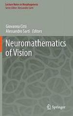 Neuromathematics of vision