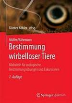 Bestimmung wirbelloser Tiere Bildtafeln für zoologische Bestimmungsübungen und Exkursionen ; 350 Tafelseiten mit zahlreichen Einzelfiguren