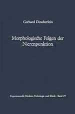 Morphologische Folgen der Nierenpunktion : Tierexperimentelle und humanpathologische Befunde