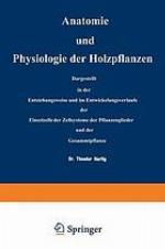 Anatomie und Physiologie der Holzpflanzen Dargestellt in der Entstehungsweise und im Entwickelungsverlaufe der Einzelzelle, der Zellsysteme, der Pflanzenglieder und der Gesammtpflanze