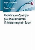 Abbildung von Synergiepotenzialen zwischen IT-Anforderungen in Scrum.