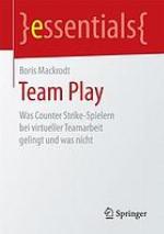 Team Play : was Counter Strike-Spielern bei virtueller Teamarbeit gelingt und was nicht