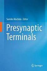 Presynaptic terminals
