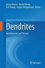 Dendrites development and disease