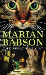 The Multiple Cat