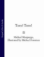 Toro! Toro!