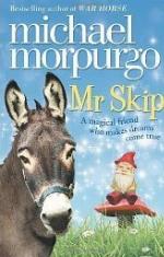 Mr Skip