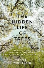 The Hidden Life of Trees