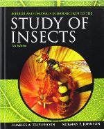 Borror and Delong's Introduction to the Study of Insects
