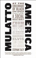 Mulatto America : at the crossroads of black and white culture : a social history