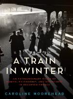 A Train in Winter