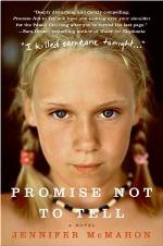 Promise Not to Tell: A Novel
