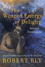 The Winged Energy of Delight