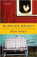 Burning Bright: Stories