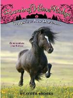 Sapphire: New Horizons