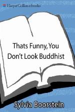 That's Funny, You Don't Look Buddhist