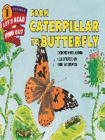 From Caterpillar to Butterfly