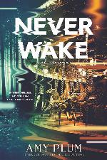 Neverwake (Dreamfall, 2)