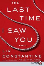 The Last Time I Saw You: A Novel