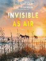 Invisible as Air