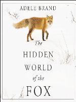 The Hidden World of the Fox