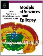 Models of Seizures and Epilepsy