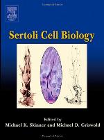 Sertoli Cell Biology