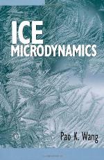 Ice Microdynamics