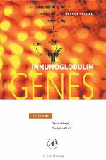 Immunoglobulin Genes