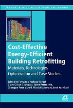 Cost-Effective Energy Efficient Building Retrofitting