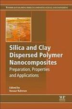 Silica and Clay Dispersed Polymer Nanocomposites