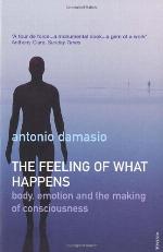 The Feeling of What Happens