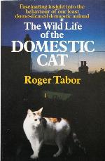 The wild life of the domestic cat