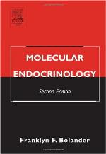Molecular Endocrinology