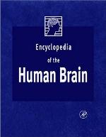 Encyclopedia of the Human Brain