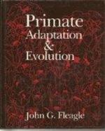 Primate Adaptation &amp; Evolution