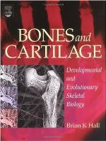 Bones and Cartilage