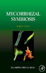 Mycorrhizal Symbiosis