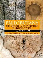 Paleobotany