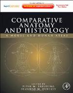 Comparative Anatomy and Histology